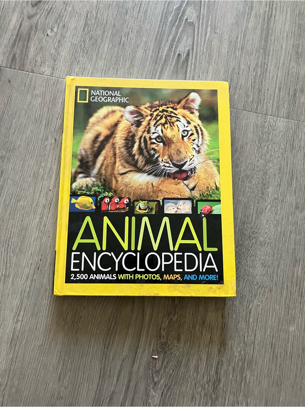 3/$15 National Geographic Animal Encyclopedia - Yellow Cover
